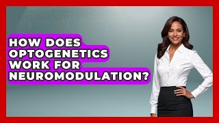 How Does Optogenetics Work For Neuromodulation? - Neurotech Insight Pro