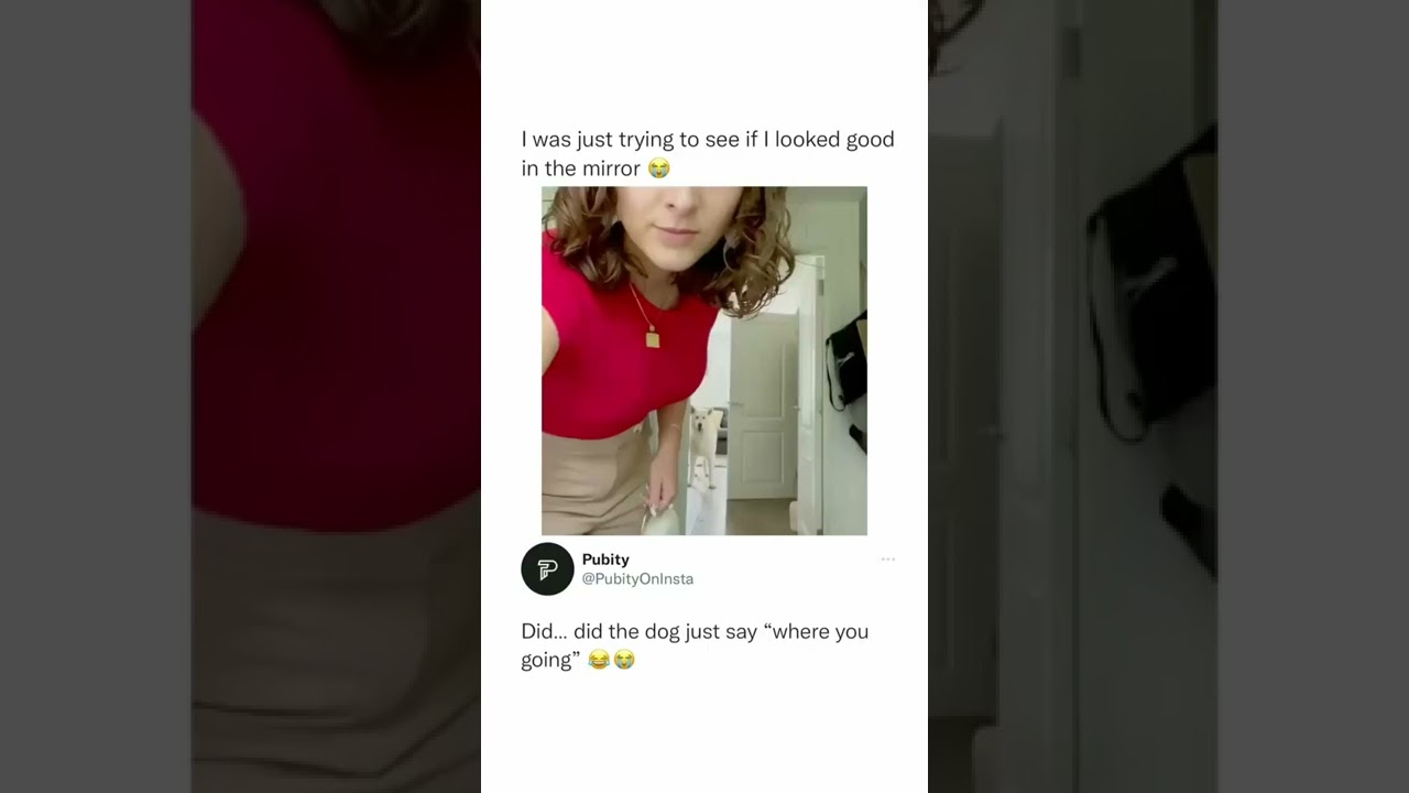 Hold up 😭#shorts - YouTube