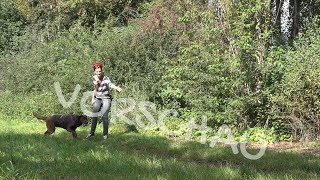 Nasenspiele Verlorensuche Auf Der Rückspur Vorschau