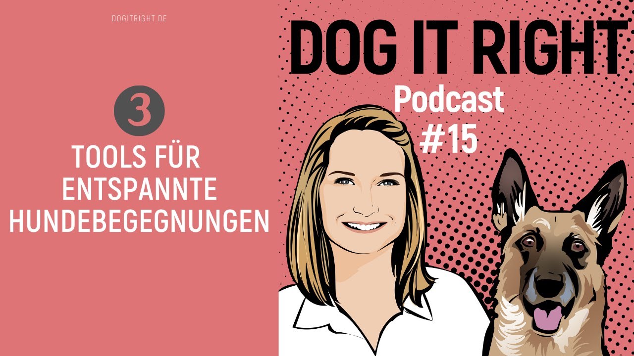 Die wichtigsten Tools für entspannte Hundebegegnungen | Dog It Right Podcast