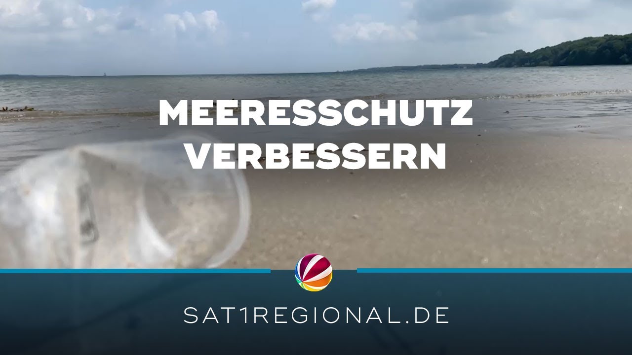 Experten diskutieren über Schutz und nachhaltige Nutzung der Meere ...