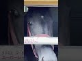 ユーバーレーベンかわいい表情2021.9.5