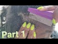 Dandruff Scratching | Scalp Oiling Part 1 (006)