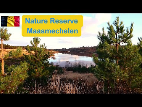 Video: Wat is het verschil tussen het reservaat van het nationale park en van het reservaat?