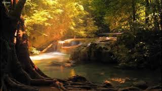 Musik untuk tidur Musik Relaksasi Romantis, Nyaman dan Damai - Musik Pengantar Tidur Malam