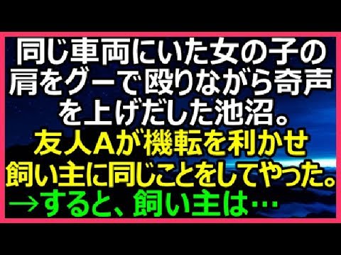 【スカッとする話】同じ車両にいた女の子の肩をグーで殴りながら奇声を上げだした池沼。友人Aが機転を利かせ飼い主に同じことをしてやった。→すると、飼い主は…