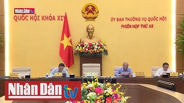Cần đánh giá đúng nguyên nhân khiếu nại, tố cáo
