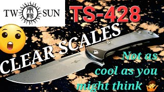 Clear Knife Scales Twosun TS428 Sweet Blade but kinda PLASTICY N690 TITANIUM I've got a Screw loose!