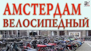 Почему в Амстердаме так много велосипедов.Как горожане добираются на работу.Вело столица Нидерландов