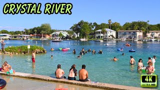 Crystal River  Florida