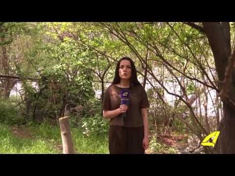 თბილისი- რუსთავი წითელი ხიდის გზის მშენებლობა და გასაცემი კომპესაციები 02 -05- 2017