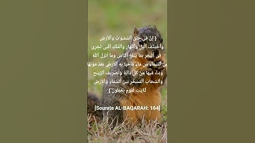 الآية 164 من #سورة_البقرة❤️ بصوت القارئ #فارس_عباد ✨