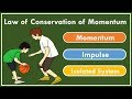 Conservation of Momentum and Newton's Laws in Action