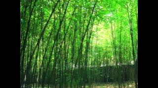 PUNAI MEMUJI TUHAN (LAGU MISA INKULTURATIF GAYA DAYAK BENUAQ;MADAH BAKTI 694)
