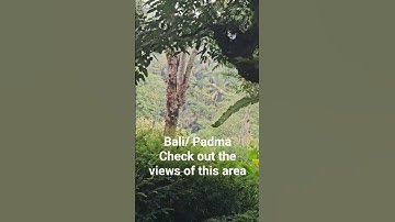 Trip to Bali, Indonesia I am at Padma Resort the sights are so beautiful.