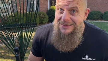 Rake ’Em or Leave ’Em? Why You Should Stop Raking Leaves