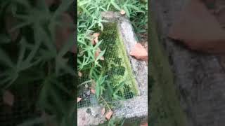 മ൯ എലല ചട പയ Fishing Malayalam