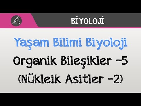 Yaşam Bilimi Biyoloji - Organik Bileşikler -5 (Nükleik Asitler -2)