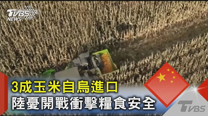 3成玉米自乌进口 陆忧开战冲击粮食安全 - 天天要闻