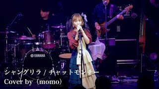 （momo）-シャングリラ / チャットモンチー（cover）【LIVE】