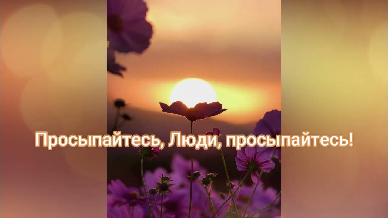 Песня ама пасита. Песня просыпайся видео. Наташа вставай. То "магия дружбы" (bronyru). Известные эстрадные баянисты.