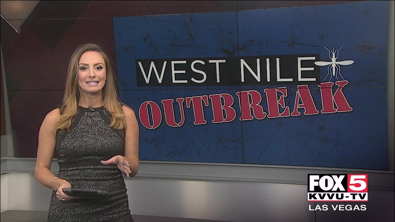 Вспышка лихорадки Западного Нила в долине Лас-Вегаса