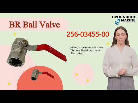 BR Ball Valve 256-03455-00