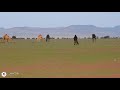 الساري شمال نجران عصر اليوم الخميس ٤ يونيو ٢٠٢٠ م الساري شمال نجران عصر اليوم الخميس ٤ يونيو ٢٠٢٠ م