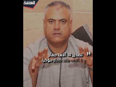 مصير الحمار المصري بعد القرارات الأخيرة 