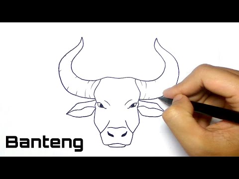 Video: Cara Menggambar Banteng