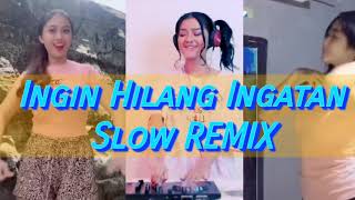 DJ REMIX   INGIN HILANG INGATAN    DJ IMUT REMIX