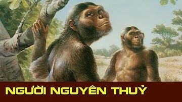 Người nguyên thủy | Primitive | Lịch sử phổ thông
