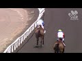 View race 2 video for 2019-10-05