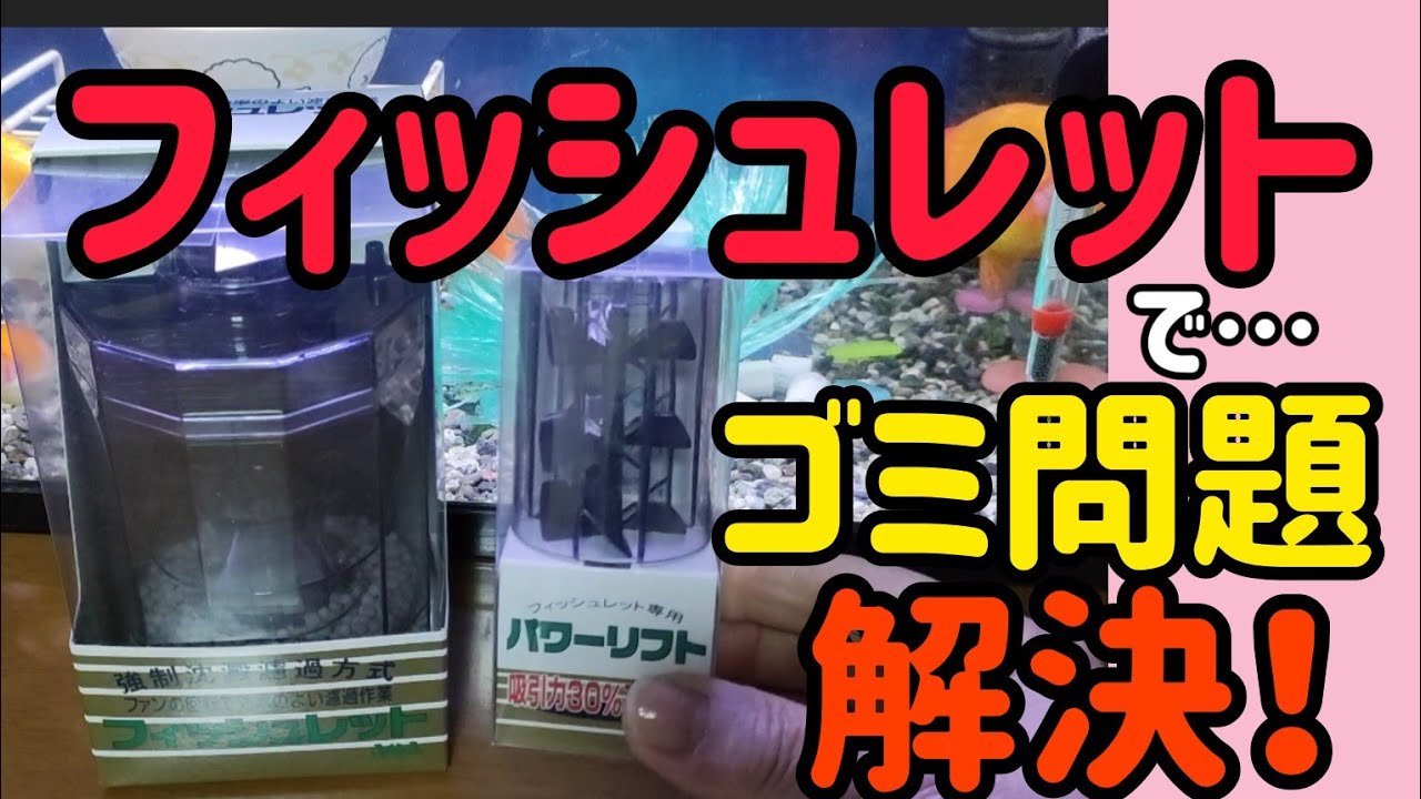 長物金魚水槽] [90ｾﾝﾁｽﾘﾑ水槽] ゴミが舞う水槽… 改善できました!? 最後