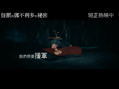 【怪獸與鄧不利多的秘密】最奇幻的動作冒險旅程