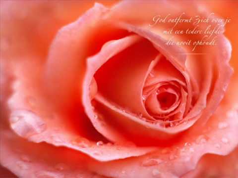 Matthias Reim  - Egal... was soll's (with lyrics)