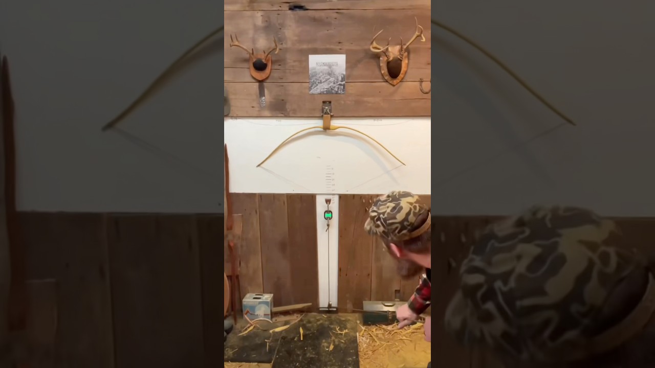 Osage selfbow with a reflex/deflex profile 