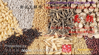 Origin Of Chinese Characters - 0225 类 類 Lèi Kind, Type, Class, Category