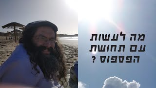 מה לעשות עם תחושת הפספוס / פרשת תזריע מצורע תשפה