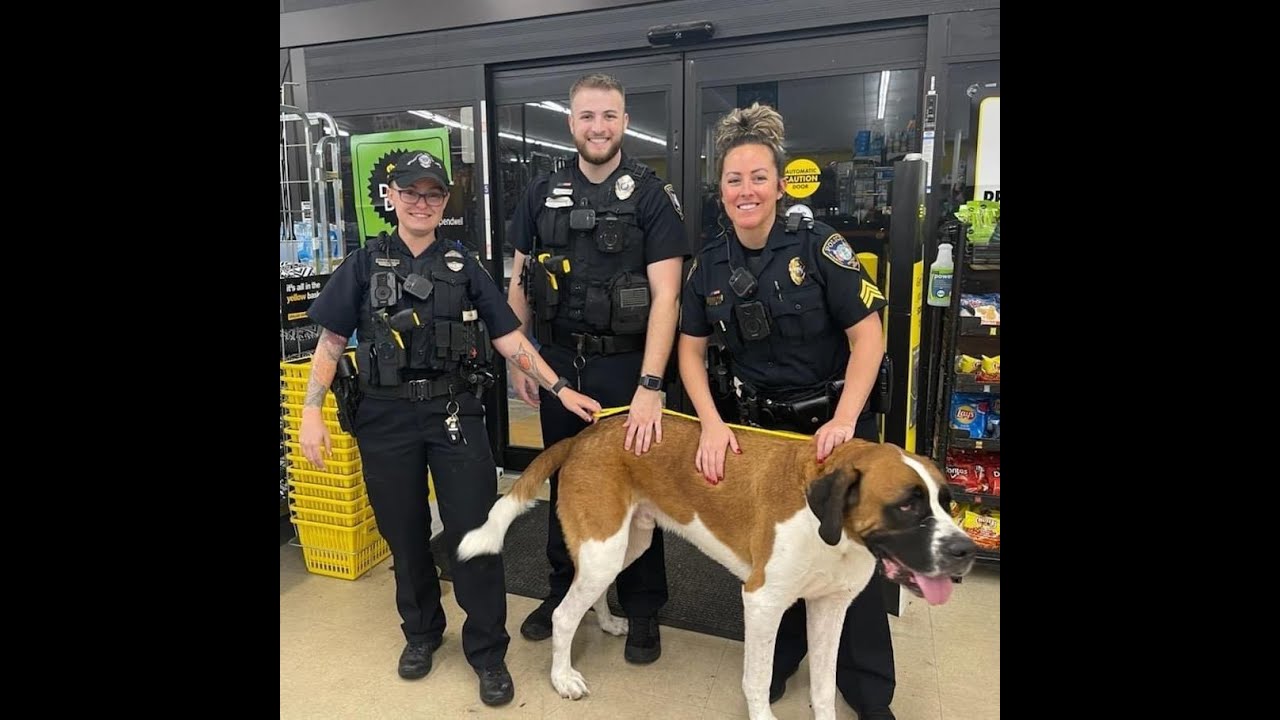 St Bernard Refuses to Leave Store After Hours