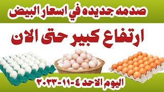 اسعار البيض اليوم سعر البيض اليوم الاحد ٥-١١-٢٠٢٣ في المحلات في مصر
