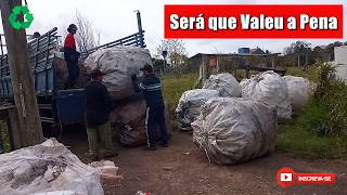 How Much Our Recycling Made and the Amount Was Surprising (EP 123)