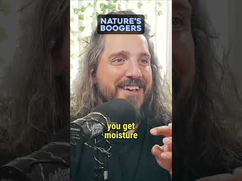 Mushrooms are Nature’s boogers