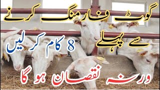 8 Things You Must know Before Starting Goat Farming || Tips For Successful Goat Farming ||