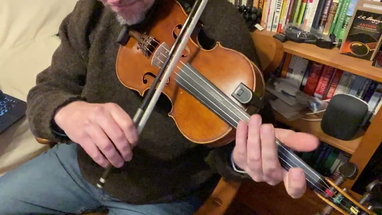 Maid Behind the Bar Reel in D - without ornaments