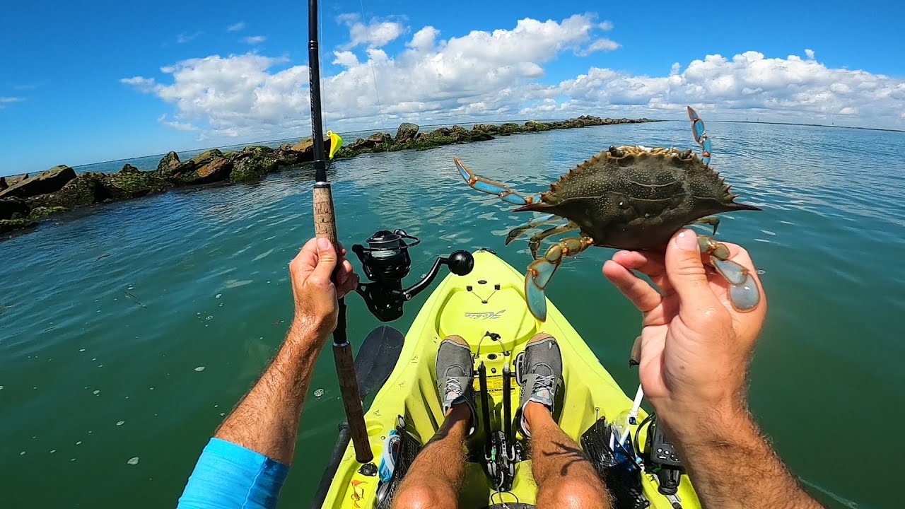 Epic Day On The Ocean Fishing With Crab - Charleston SC 