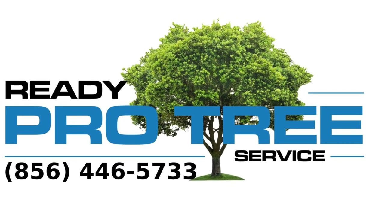 Ready Pro Tree Service Cherry Hill NJ (856) 4465733 YouTube