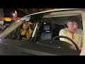 Larsa Pippen And Harry Jowsey Go On Date In Beverly Hills 10/08/20 | Celebrity News | Splash News