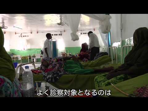 MSF／ソマリア：紛争地域の病院で活動を継続