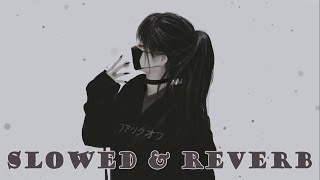 BHASHI - Viramayak [Garden Acoustic Version] { SLOWED   REVERB }